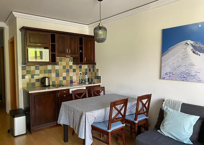 3-zimmer In Zwieselstein Daire Sölden